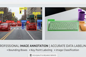 do accurate image annotation and data labeling