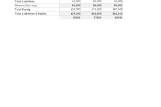 build a 3 statement financial model and budget in excel