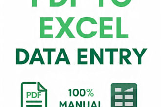 do manual copy paste and PDF to excel typing