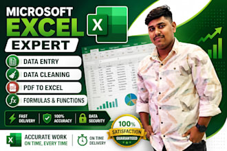 do microsoft excel data entry and formatting