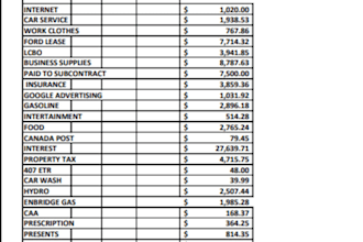 professionally organize your income tax documents