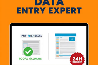 do fast data entry excel copy paste and PDF to excel in 24 hours