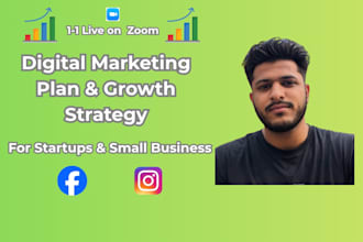develop a digital marketing plan and growth strategy