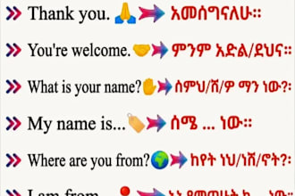 do professional english to amharic translation