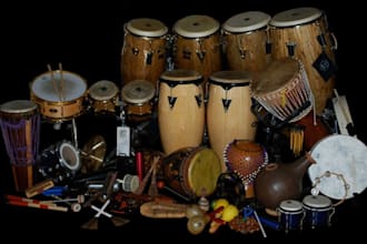 record congas, bongos,cajón, djembe,tabla,bodhrán, timbales, agogo, clave,tom