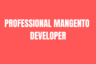 build a professional magento 2 ecommerce store