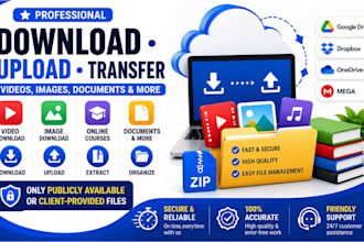 provide professionally upload and download services