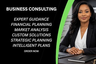 provide advice and business consulting