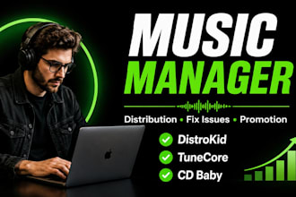 be music manager for music distribution fix issues music marketing and promotion