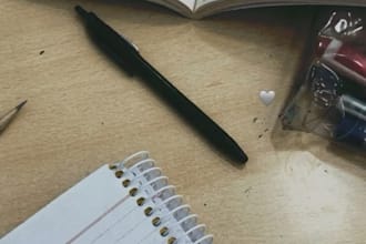 proofread, edit and write