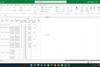 do accurate data entry, excel data entry and word