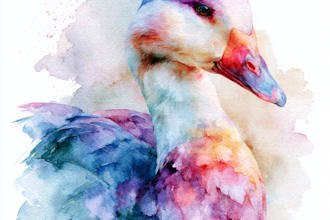 create hand painted watercolor animal illustrations