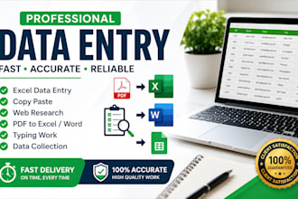 do accurate data entry, excel, copy paste and web research