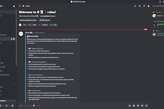 setup a modern professional discord server
