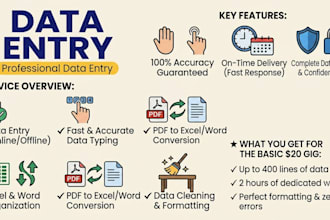 be your expert data entry and data verification specialist