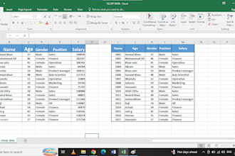 do professional data entry work and fast typing work
