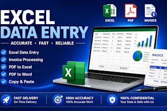 do accurate excel data entry and PDF conversion