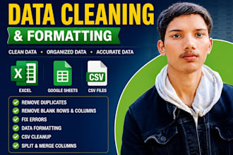 do excel data cleaning and spreadsheet formatting