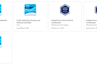 provide expert remote IT support