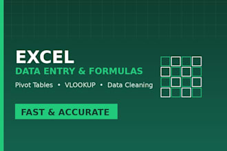 do excel data entry , formulas and pivot tables