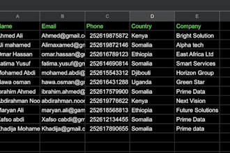 accurate data entry excel and google sheets