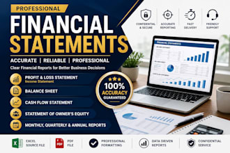 do professional financial statements balance sheet profit and loss cash flow