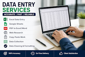 do excel data entry and excel spreadsheets