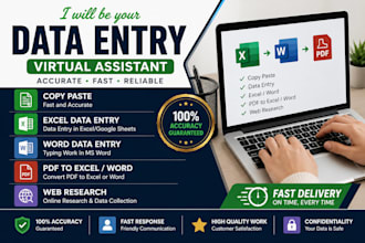 do accurate data entry, copy paste, excel data entry