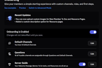create a professional discord server with bots and custom setup