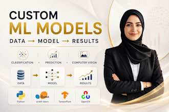 build custom machine learning model using python