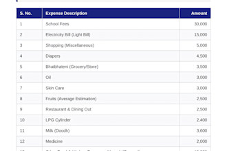 do advanced excel data analysis, data entry