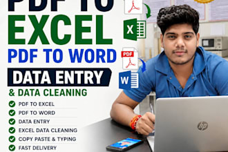 do PDF to excel, PDF to word, data entry and excel data cleaning