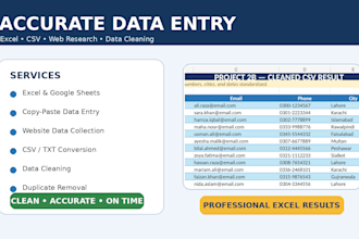 do accurate data entry,excel work,web research and data cleaning