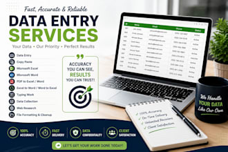 do accurate data entry, excel data entry, copy paste and web research