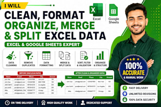 do clean, organize, format, merge, remove duplicate data, split excel data
