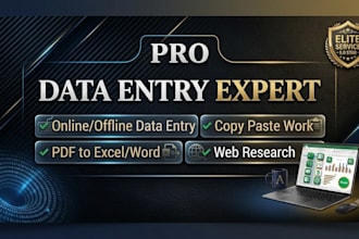 do professional data entry, excel data entry, and copy paste work