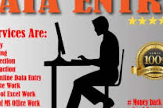 be your professional data entry typist