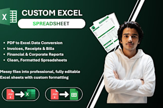 convert PDF to excel, create custom excel spreadsheets