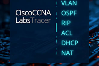 solve cisco packet tracer ccna labs and assignments