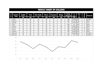 microsoft excel data entry, formatting, and spreadsheets