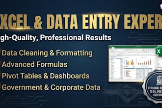 provide excel work, pivot table, data formatting, formulas