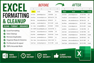 format, clean, and organize excel file professionally