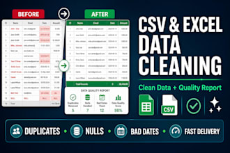 clean your CSV or excel data and deliver a quality report