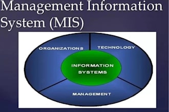 guide you in management information systems and IT