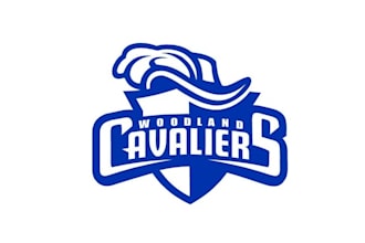 design new sports complex team rebrand logo