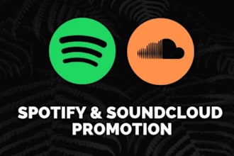 do france spotify promotion