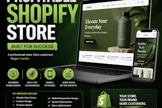 shopify store set up