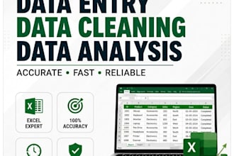 do bulk  data cleaning categorization , data entry and data analysis,