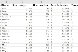 create professional microsoft excel spreadsheets, dashboards and reports