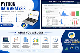 business data analytics, data cleaning, analysis and visualization